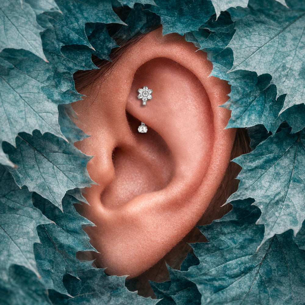 rook piercing