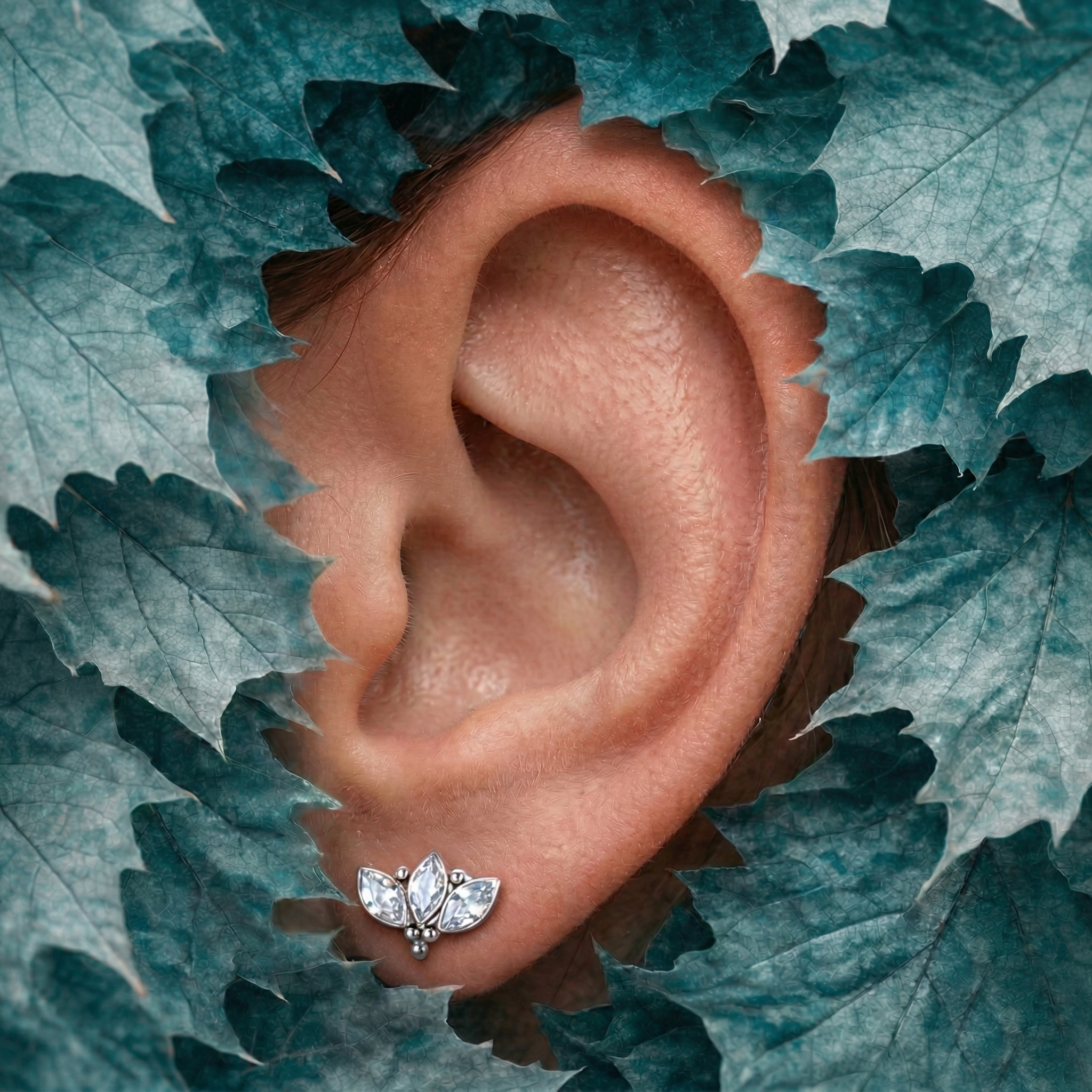 piercing lobo
