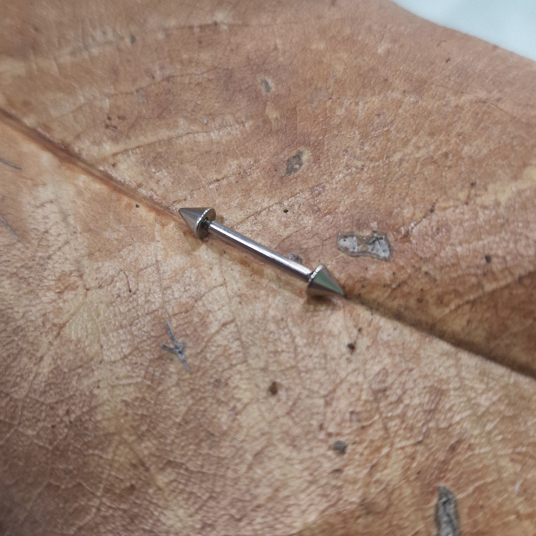 Barbell punta