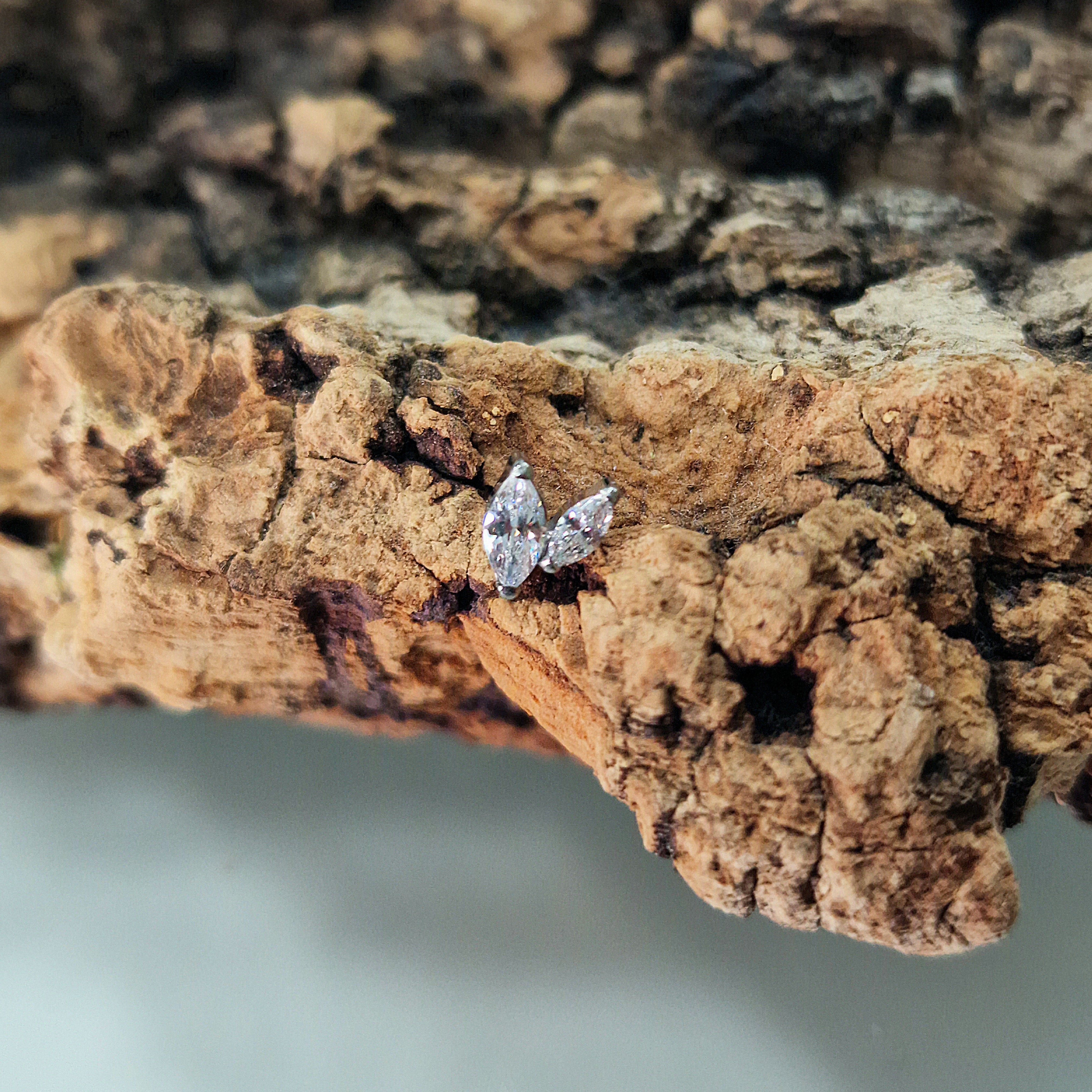 Labret T338