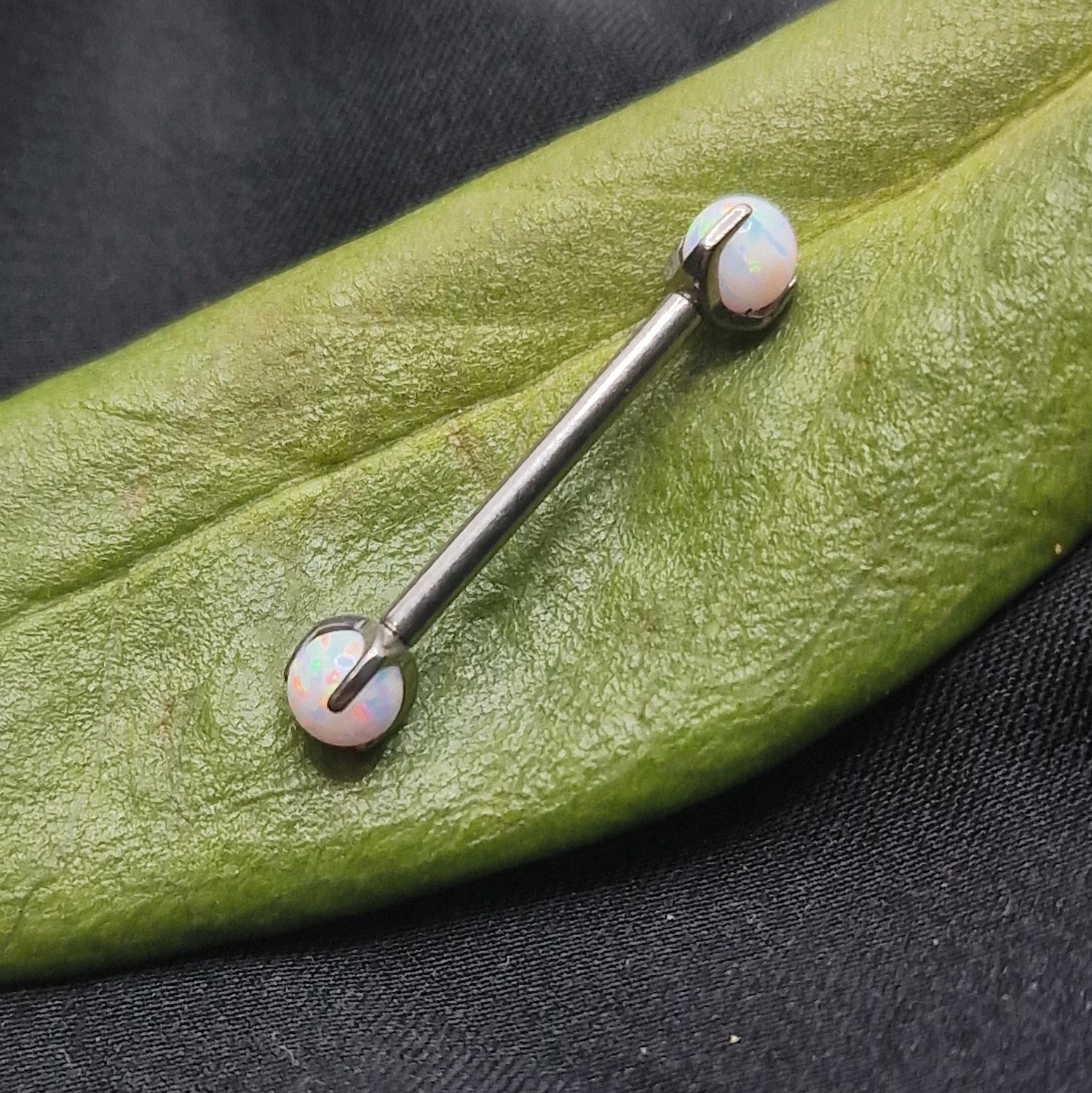 Barbell T119 Piercing