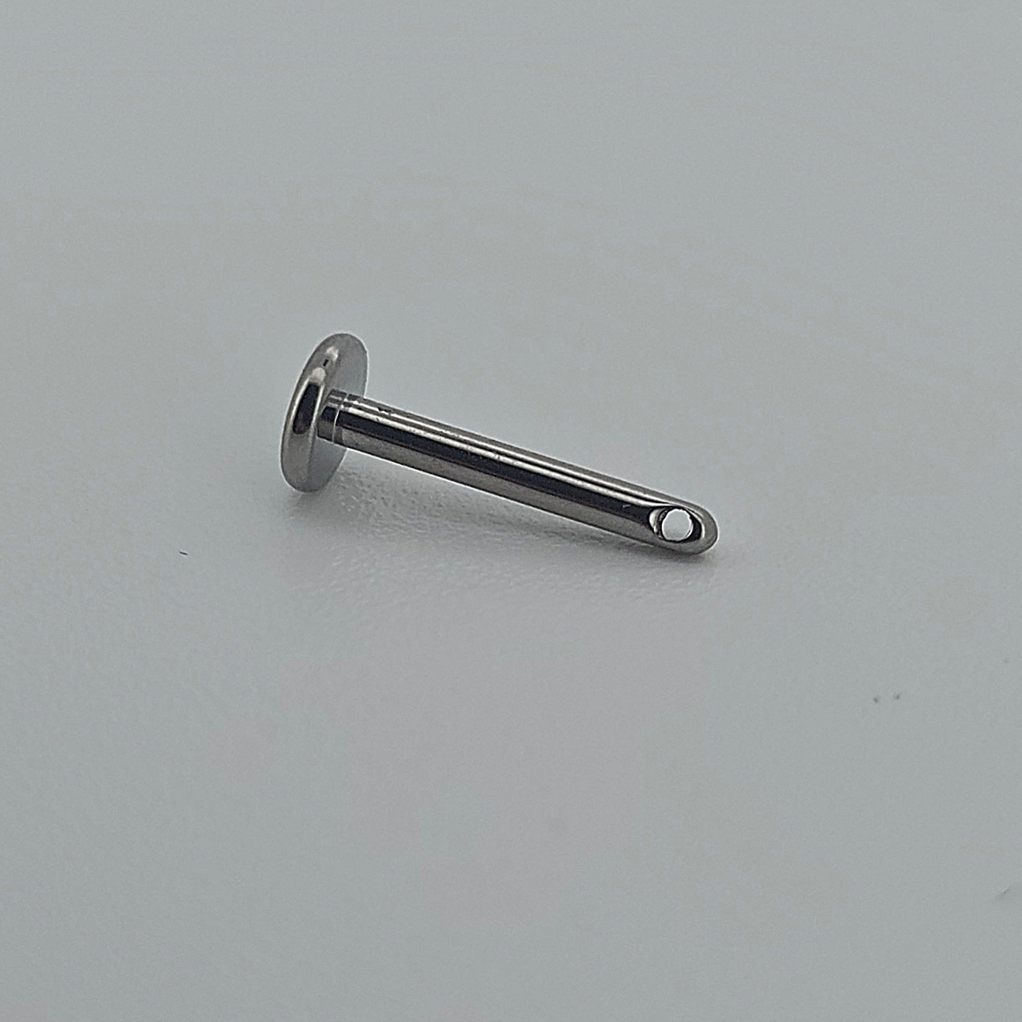 Labret frontale t283