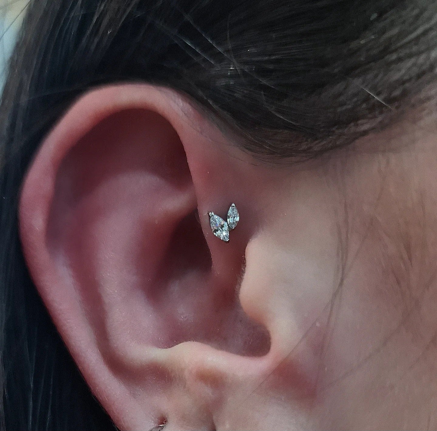 Labret T338