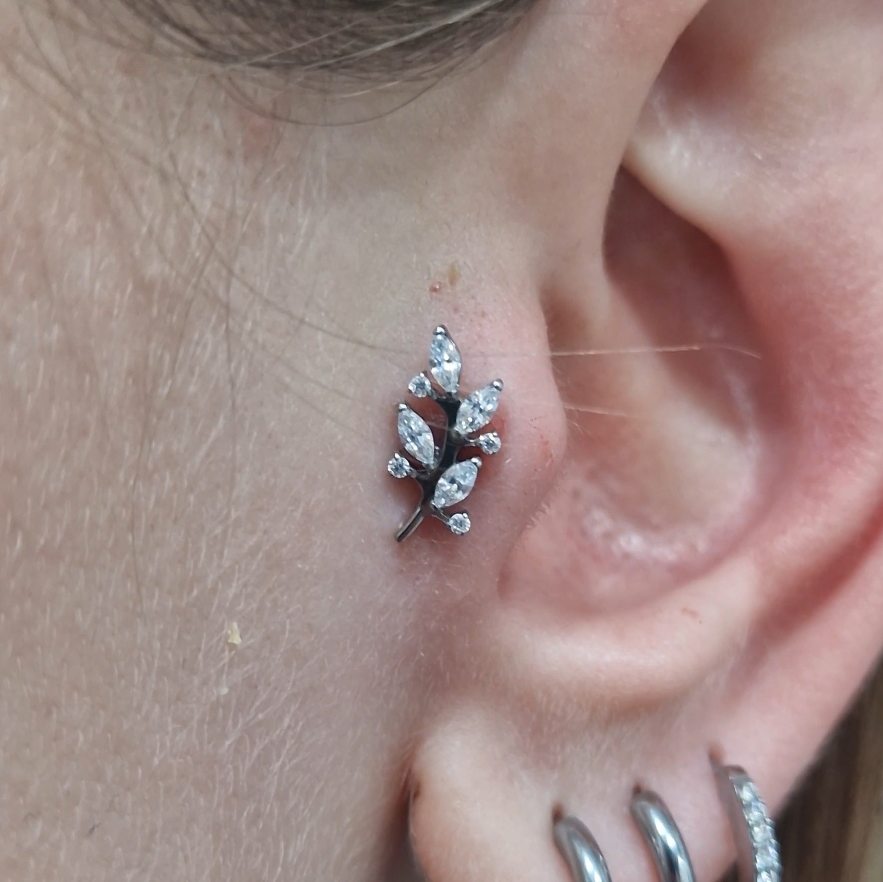 Labret T347