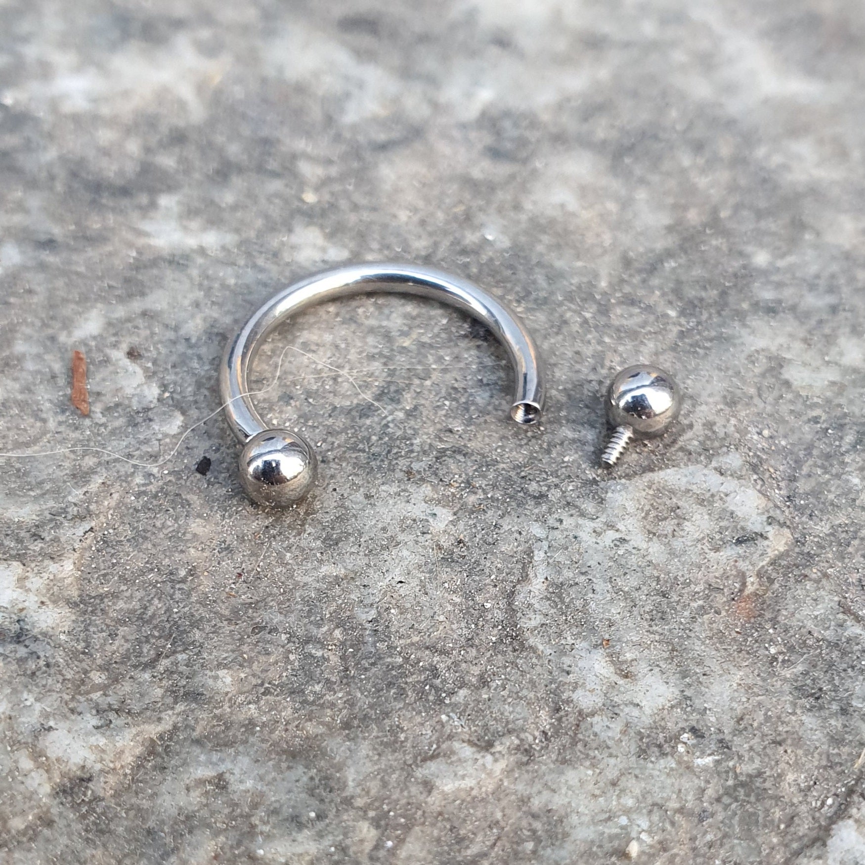 Circular barbell T070 Piercing