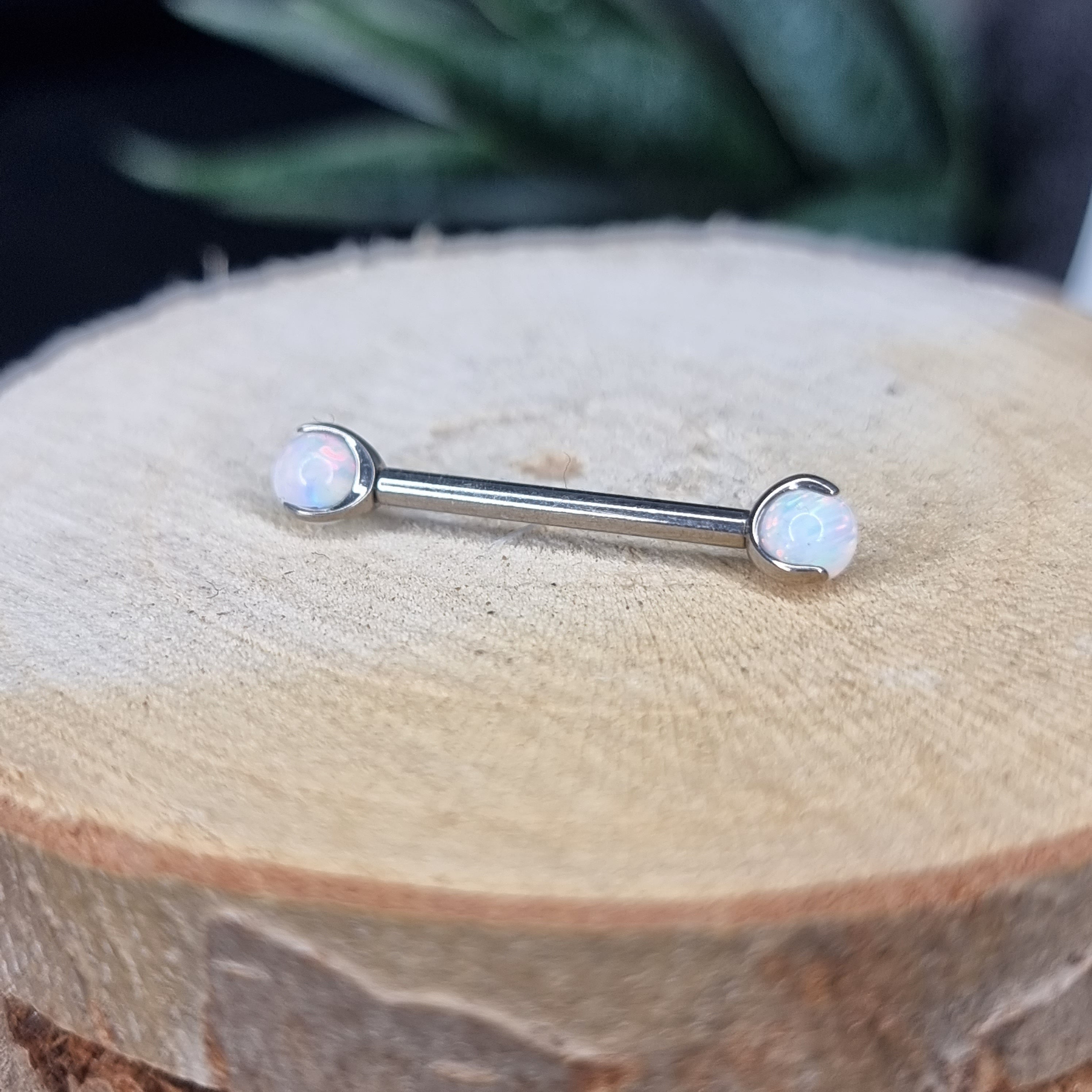 Barbell T119 Piercing