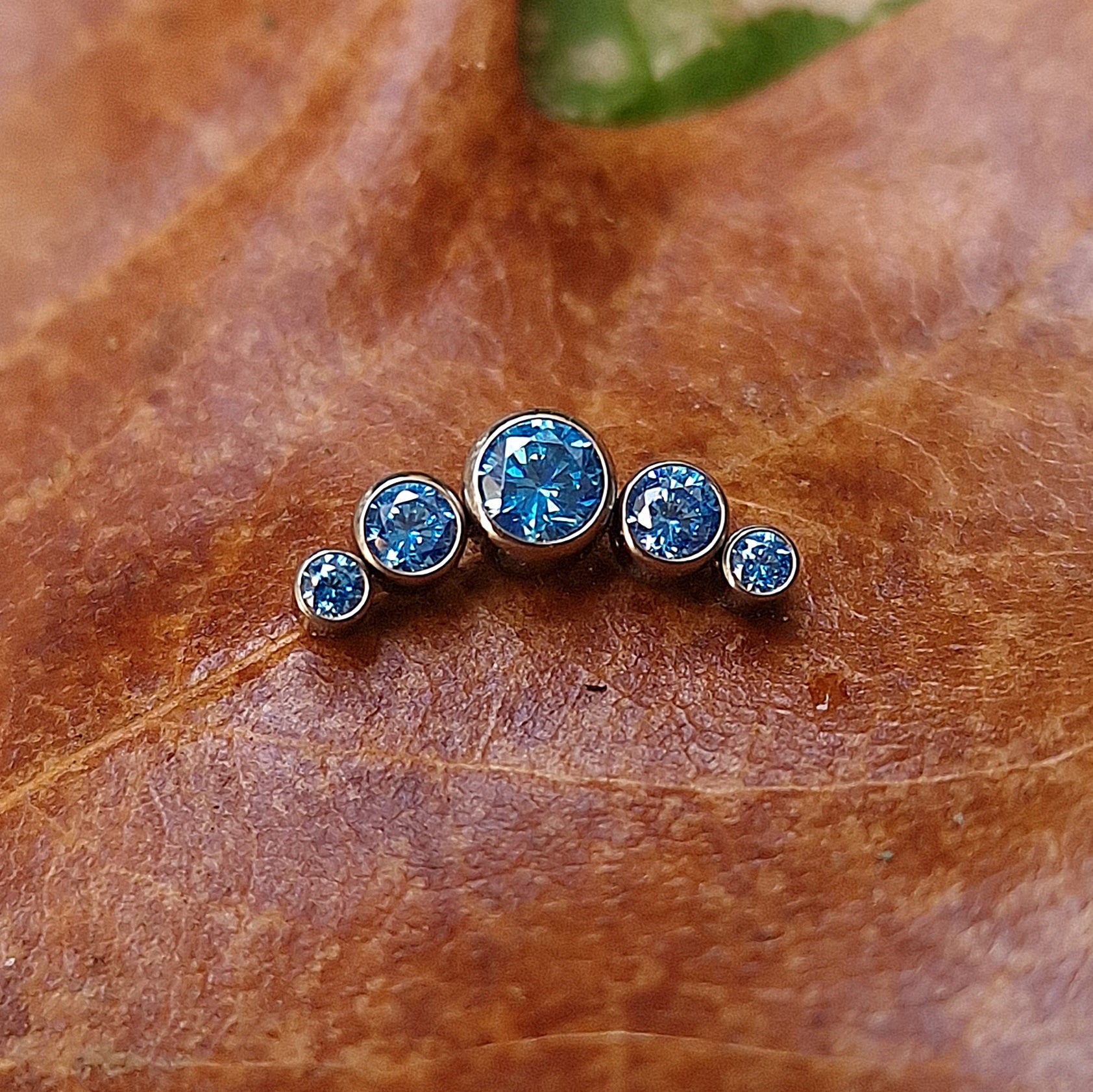 Labret T220 Piercing