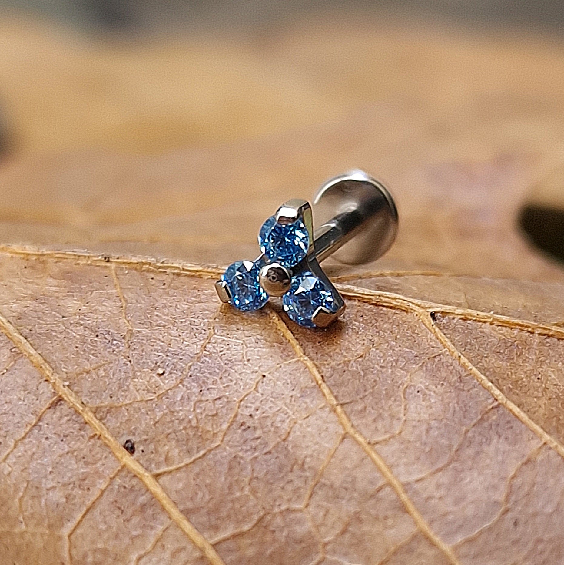 Labret T215 Piercing