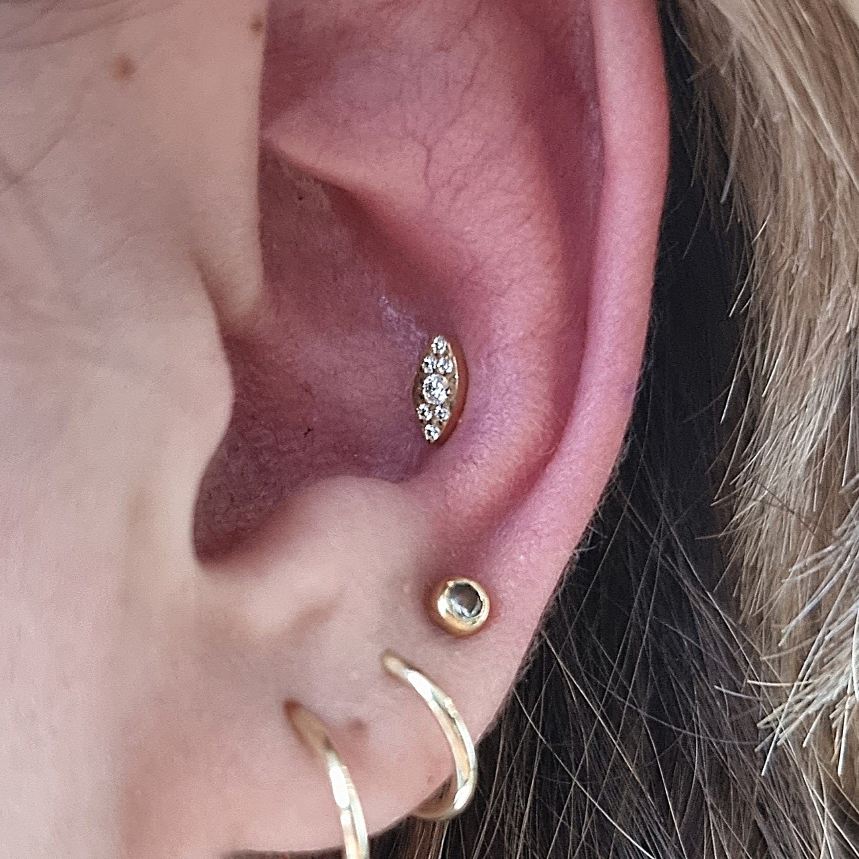 Labret T137 Piercing