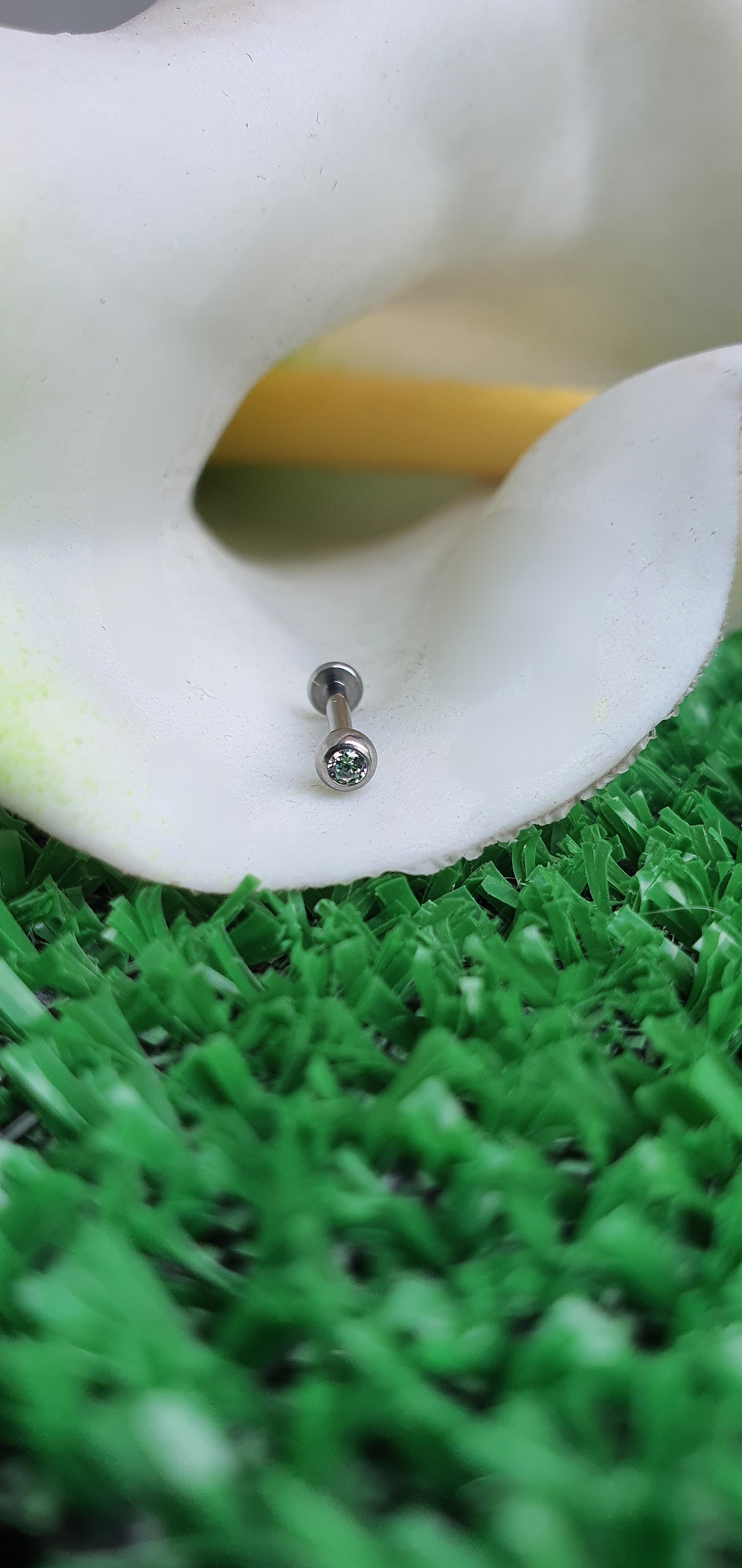 LABRET T088 Piercing