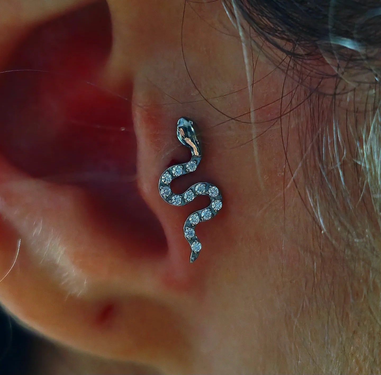 Snake T212 Piercing