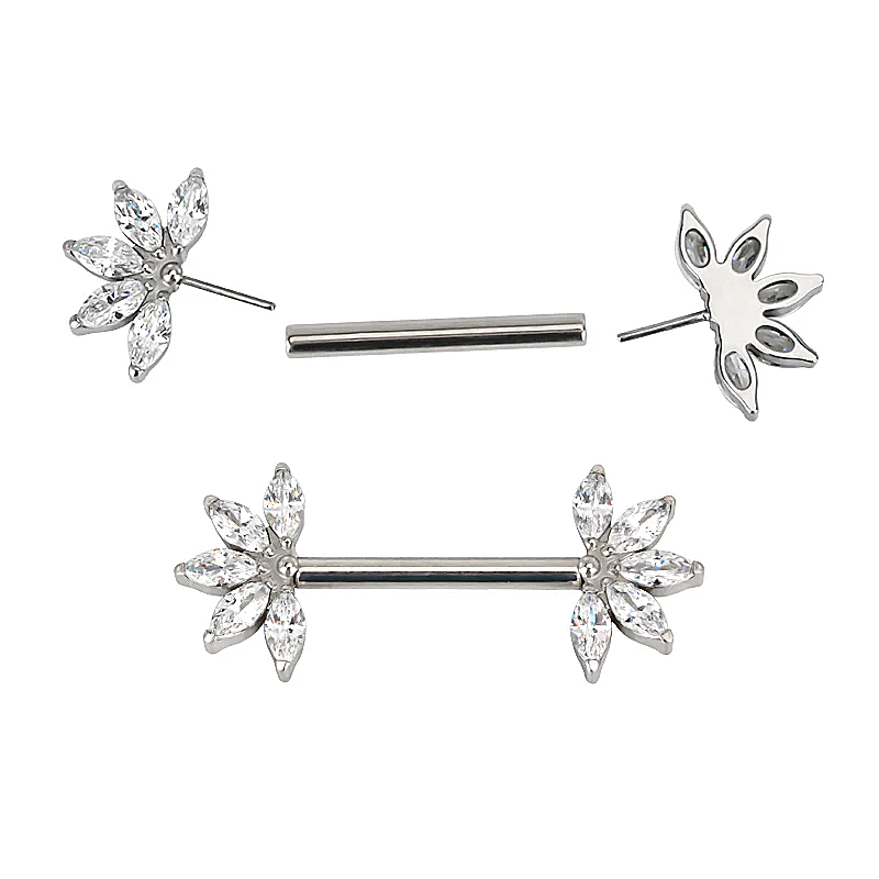 nipple piercing capezzolo