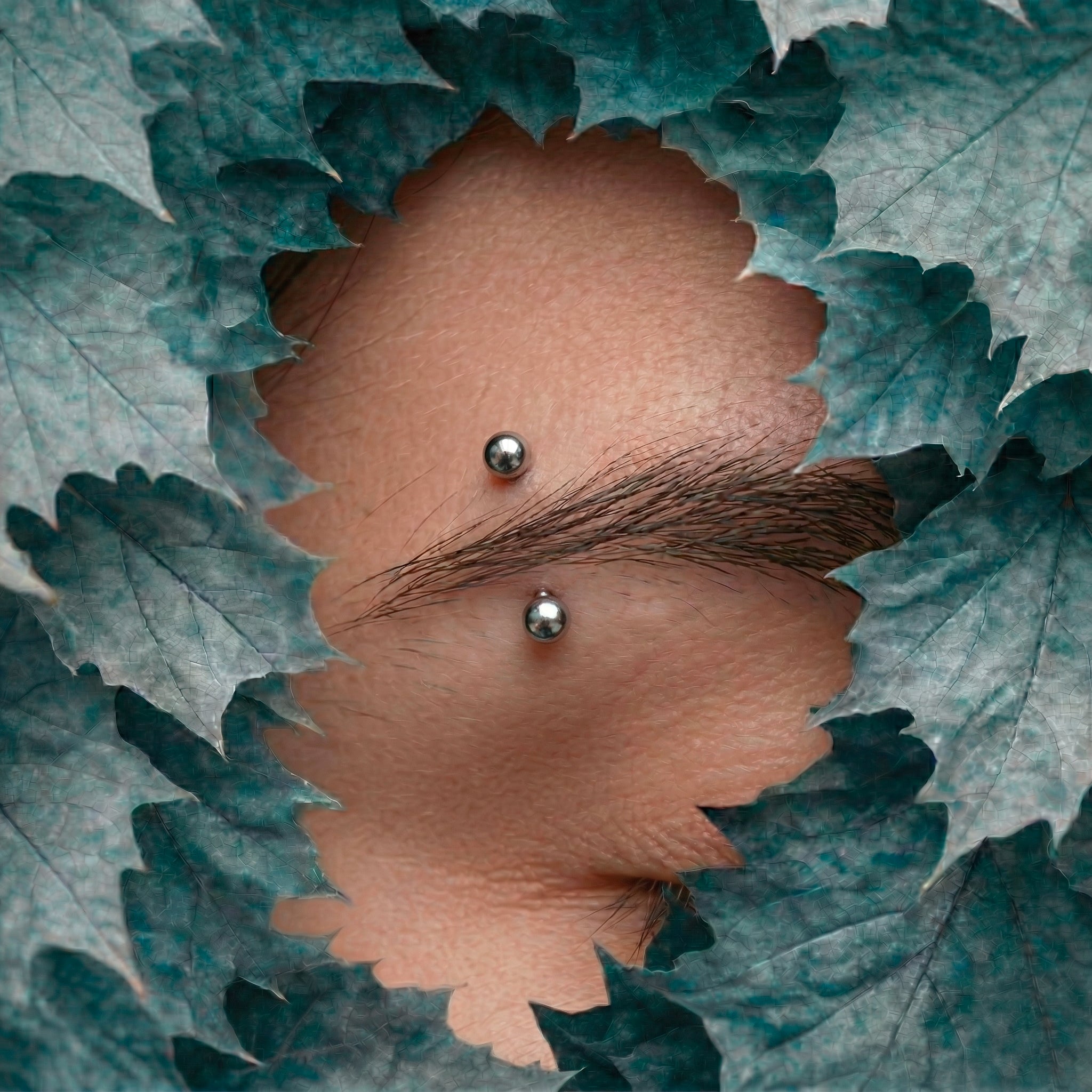 piercing sopracciglio