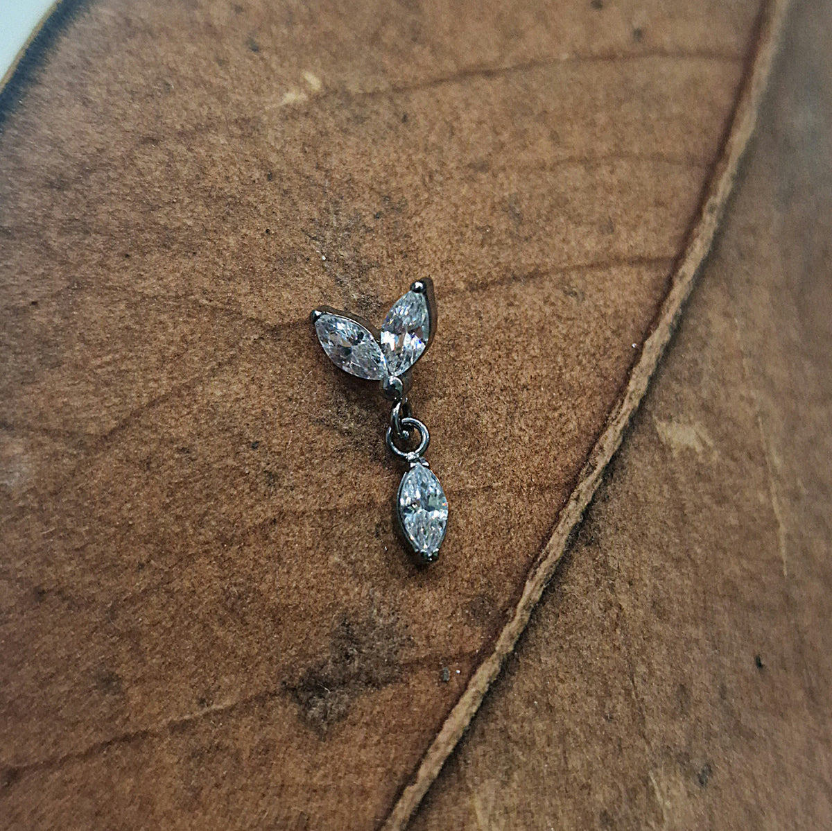 Labret T339