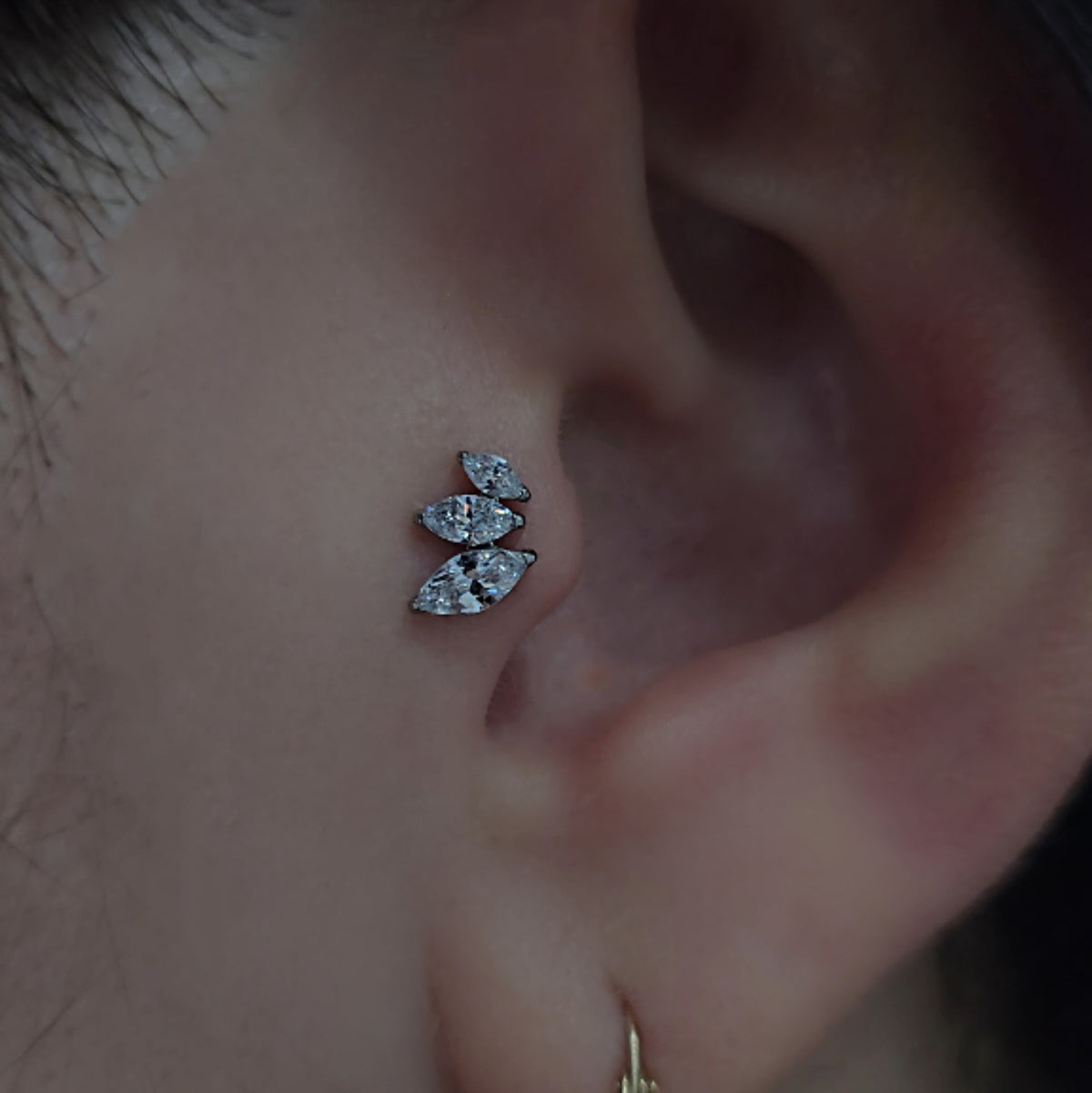Labret T388