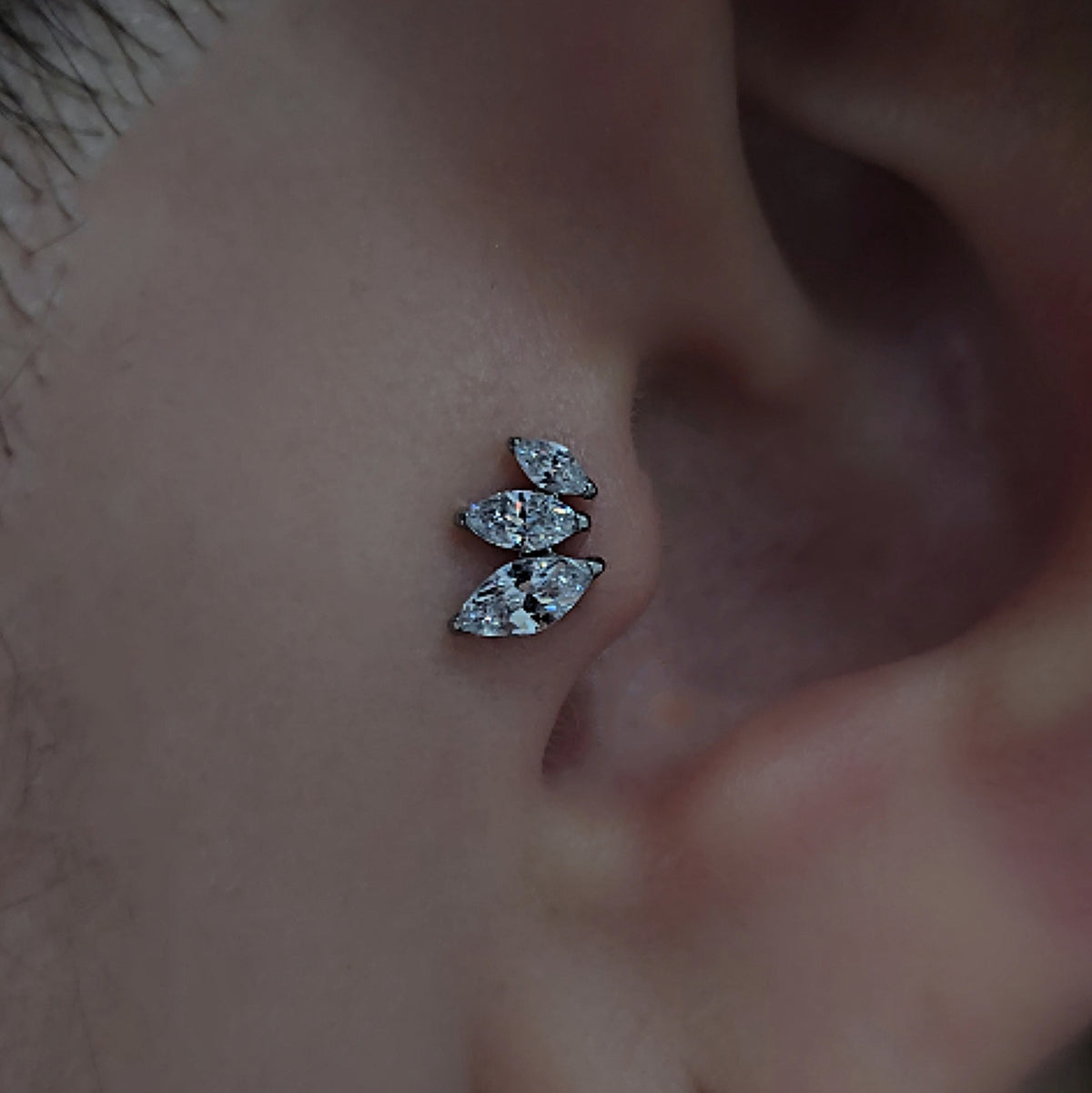 Labret T388