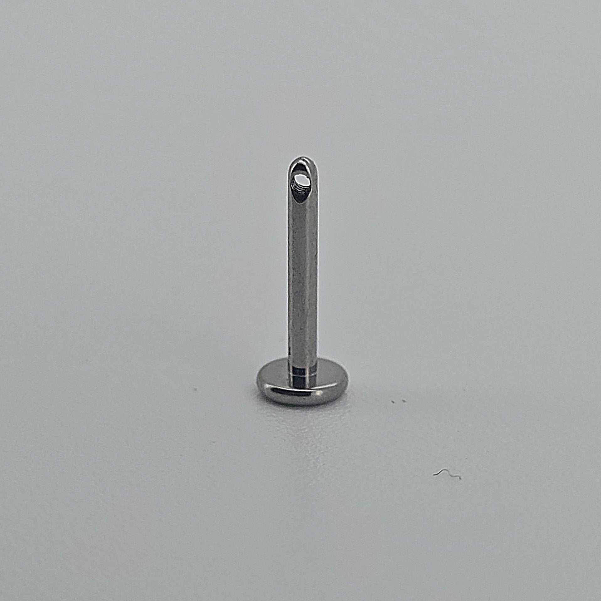Labret frontale t283