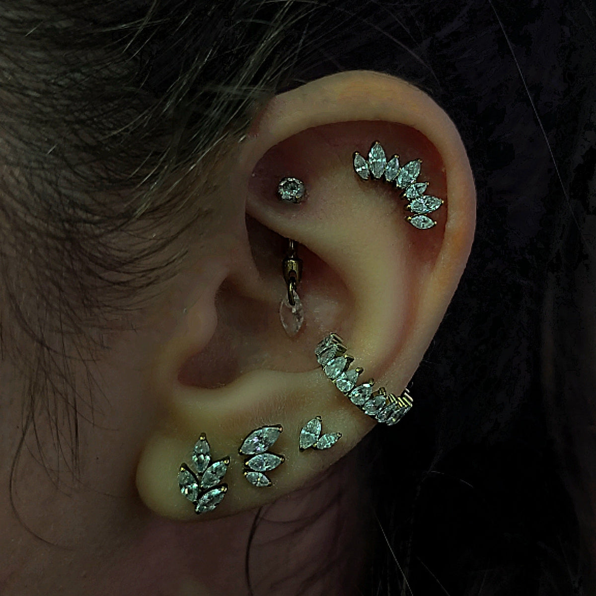 clicker ring zirconia titanio orecchio