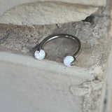 Circular barbell T084 Piercing