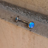 Bananina OPB Piercing