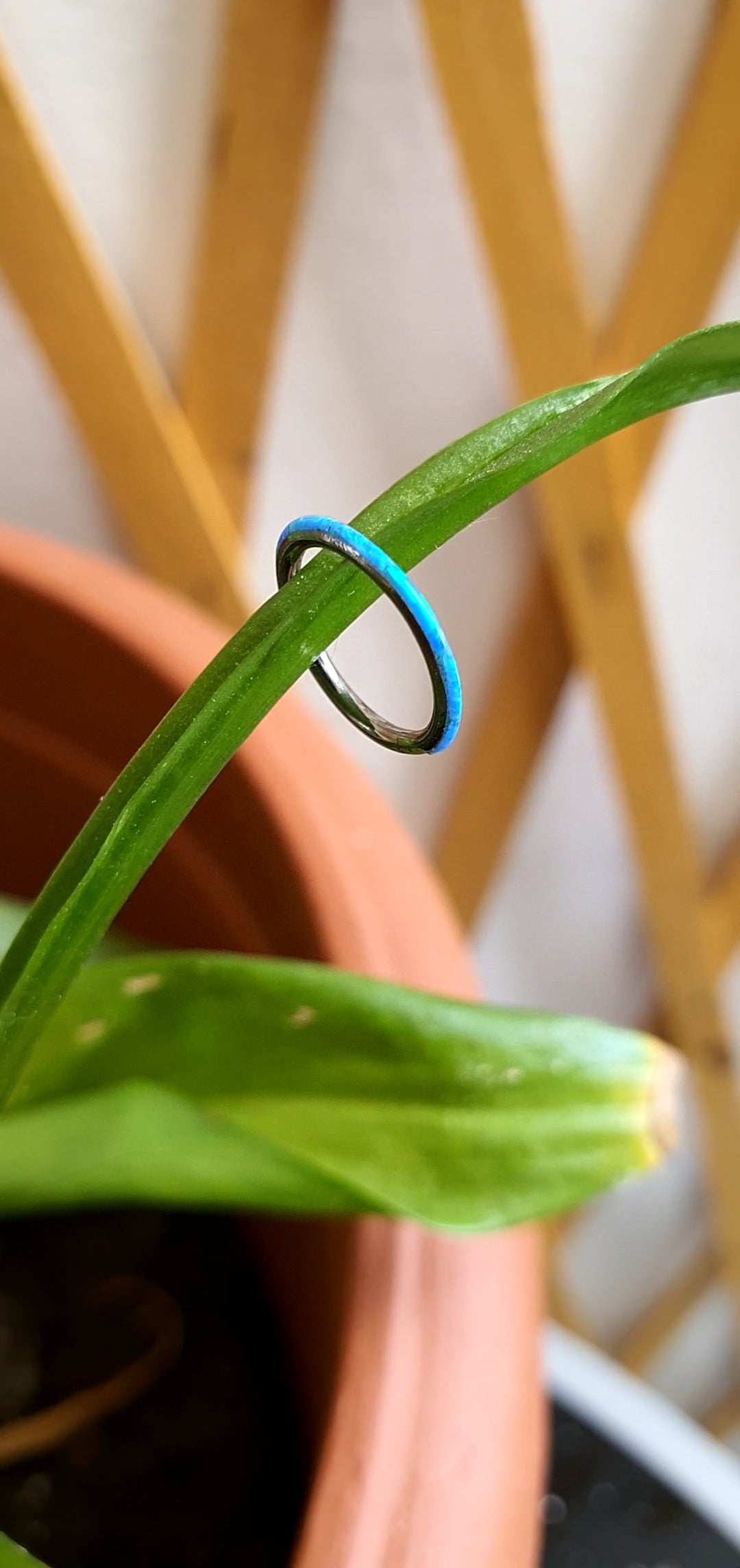 RING T039 Piercing