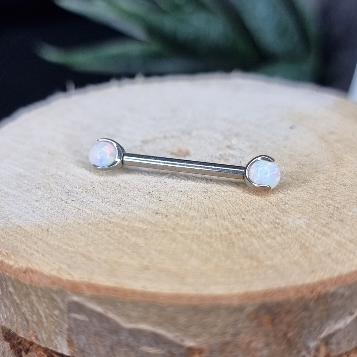 Barbell T119 Piercing