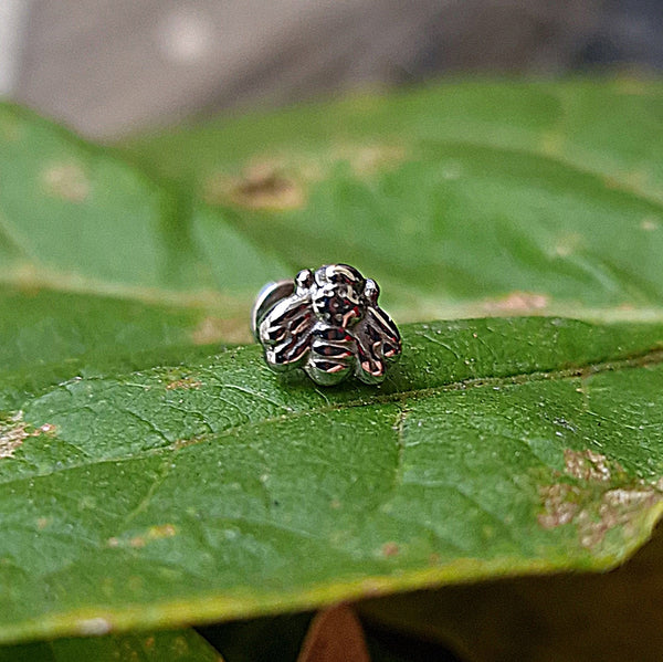 Ape T213 Piercing Orecchio