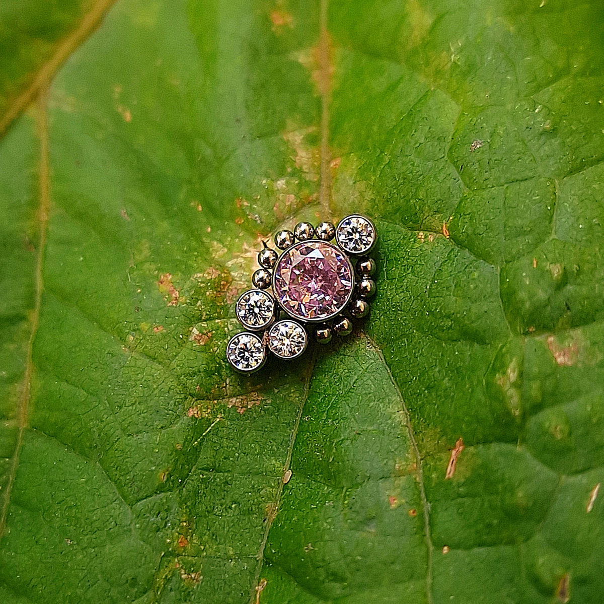 T217 Piercing