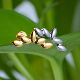 T221 Piercing