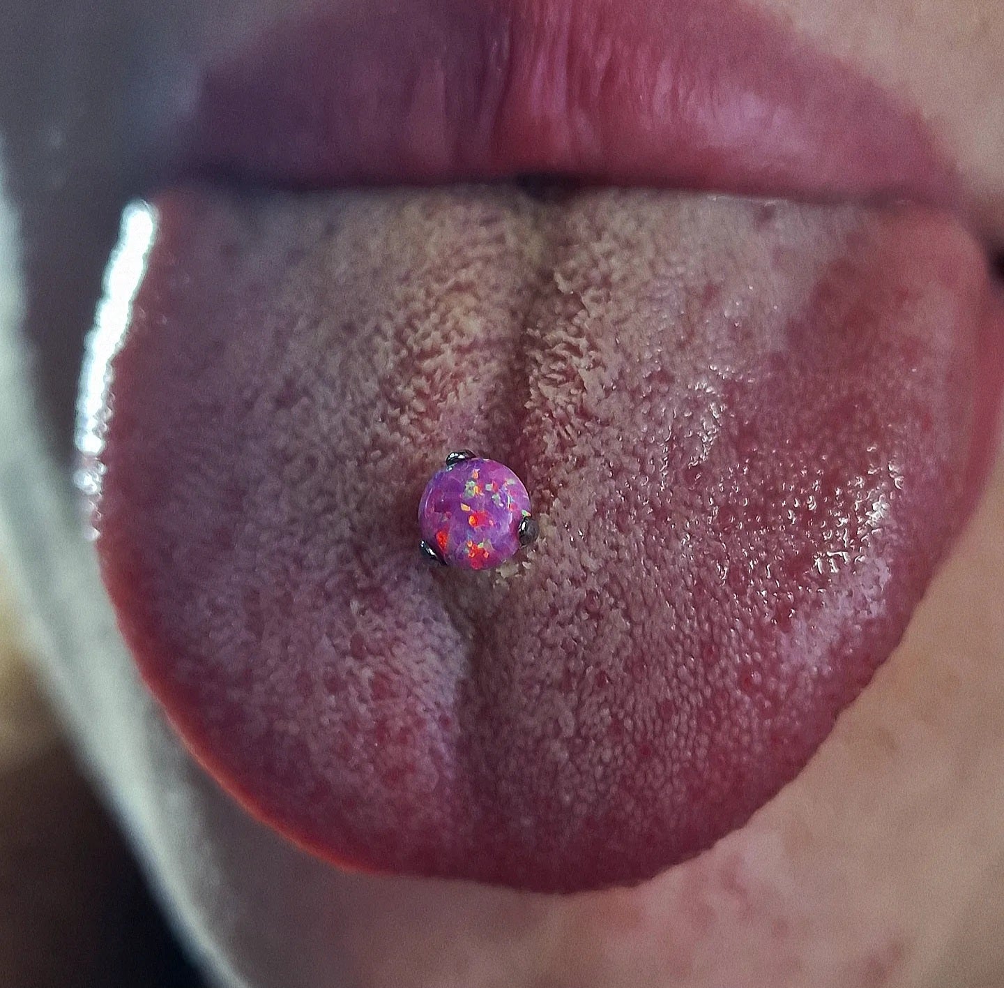 Barbell T235 Piercing