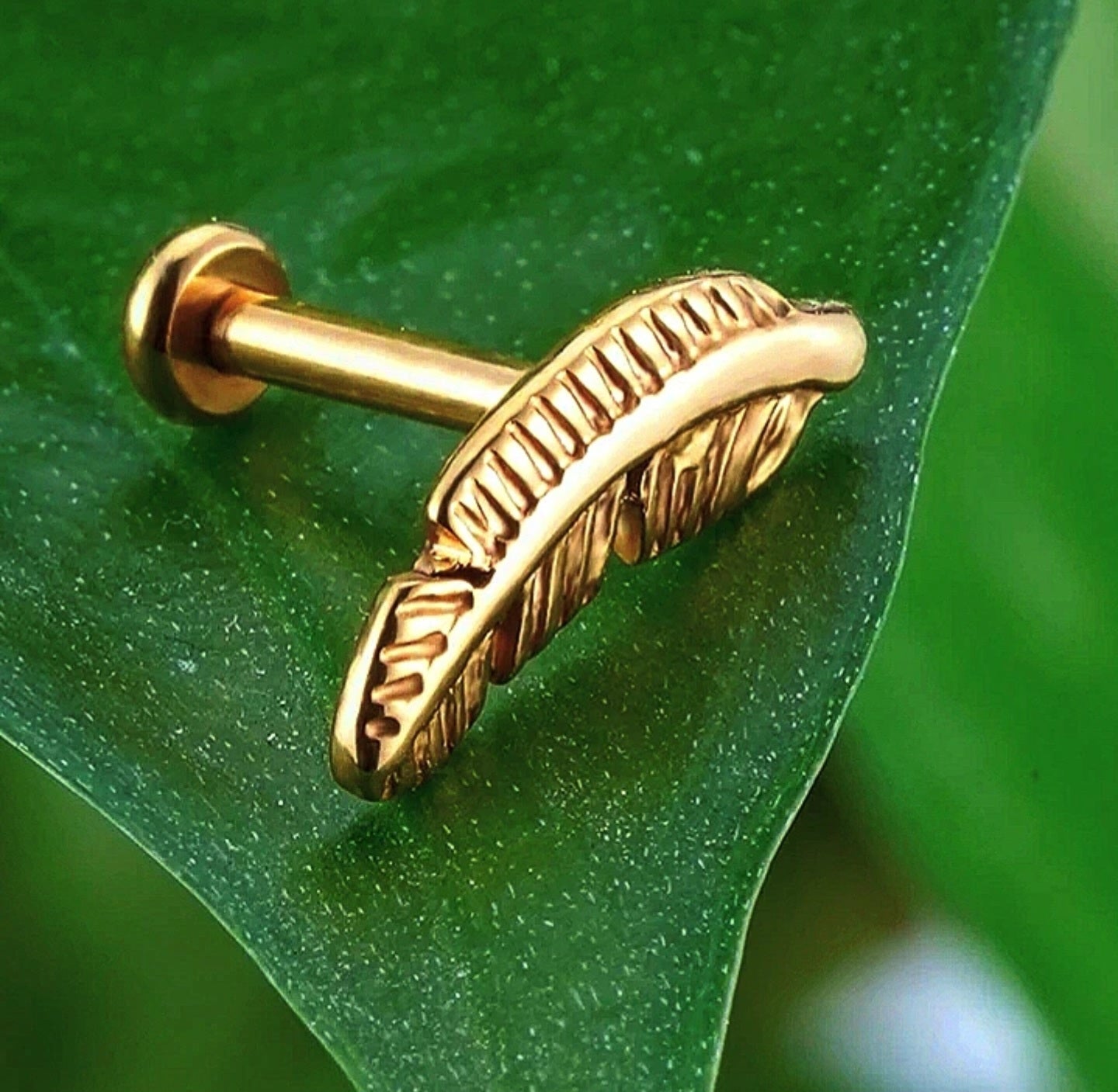 Piuma T214 Piercing